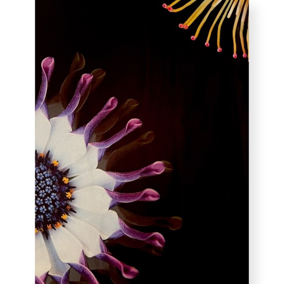 NWT CARRÉ NOIR Scoop Neck Sleeveless Floral Print Dress - Picture 4 of 7